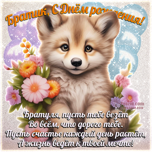 поздравление на День рождения брата GIF