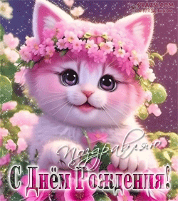День рождения GIF картинка