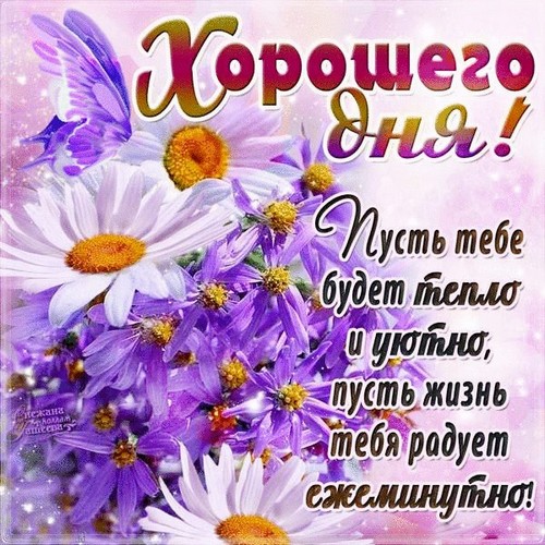 пожелание на Добрый день JPG