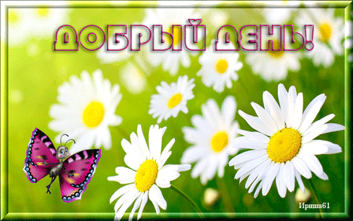 пожелание на Добрый день GIF