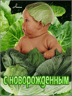 С новорожденным GIF картинка
